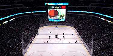 Image of Dallas Stars In Dallas