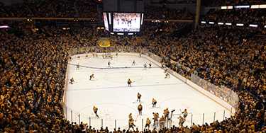 Image of Nashville Predators In Nashville